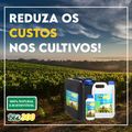 Bio300 - Extrato Pirolenhoso Fumaça Liquida Vinagre De Madeira 1L - 