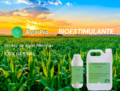 Bioestimulante de Algas Marinhas - 