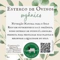 Esterco de Ovinos - Orgânico - 