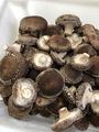 Shiitake Desidratado - 