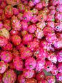 Pitaya Branca e Pitaya vermelha - 