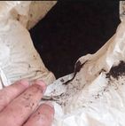 Adubo orgânico caprino