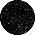 ARROZ PRETO (PRIMEIRA QUALIDADE)