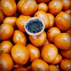 Drageado Damasco com Café e Laranja