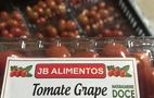 Tomate grape 