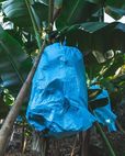 Tree bag 