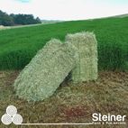 FENO EM FARDO - GRAMA JIGGS