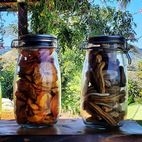 Frutas secas Banana, Caqui e Atemói...