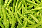Feijão Verde