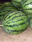Melancia com e sem semente