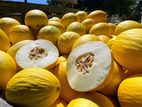 melão amarelo nacional e exportação