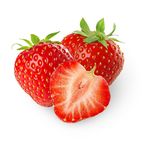 Morango semi-hidropônicos