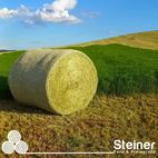 FENO EM ROLO DE GRAMA JIGGS