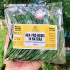 ORA-PRÓ-NOBIS ORGÂNICA IN NATURA - ...