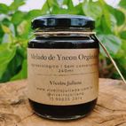 MELADO DE YACON ORGÂNICO 240ML - 10...