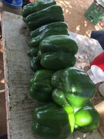 Maracujá e pimentão. - 