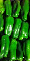 Pimentão verde  - 