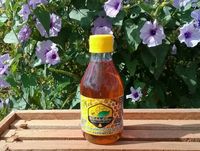 Mel de Abelha 290g Produzido em Área de Caatinga - 