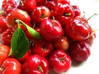 Acerola  - 