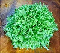 Alface Baby-crespa hidropônica - 