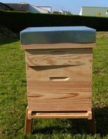 Caixas para Abelhas Langstroth - 