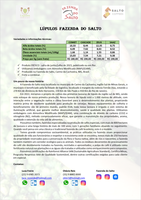 Lúpulo – Safra 06/23 – Pacotes de no mínimo 1Kg - 