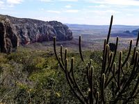 Apiecoturismo Bee Route - 