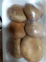 COGUMELO shiitake - 