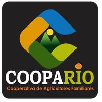 BANANAS, PRATA,DAGUA,PACOVAN  - 