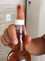 Mel de Abelha Apis - 