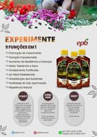 Biotônico EPB  - 