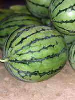 Melancia com e sem semente - 