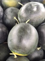 Melancia casco negro com e sem semente - 