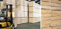 madeira serrada para pallet e compensados  - 