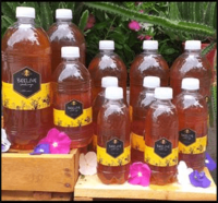 Mel Beelive Caatinga - 