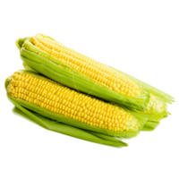Milho Verde - 