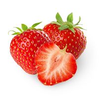 Morango semi-hidropônicos - 