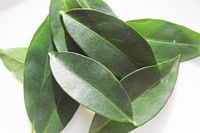 Ora-pro-nóbis 100 gramas - 