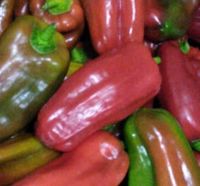 Pimentão Verde e Vermelho - 