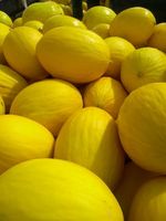Melão - 