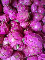Pitaya - 